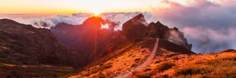 Flitterwochen auf Madeira
